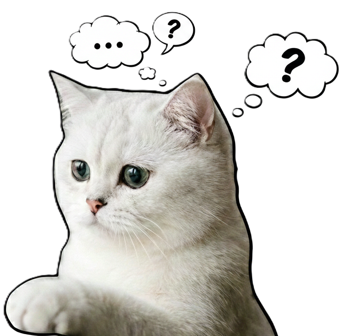 خبرنا عن المنتج يلي لازمك 