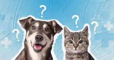 خبرنا عن المنتج يلي لازمك 