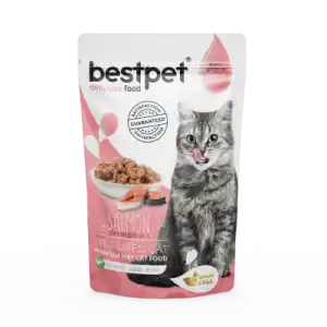 Premium Wet Cat Food
