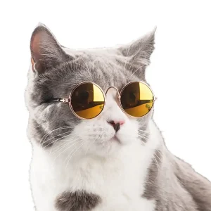 Cat Glasses