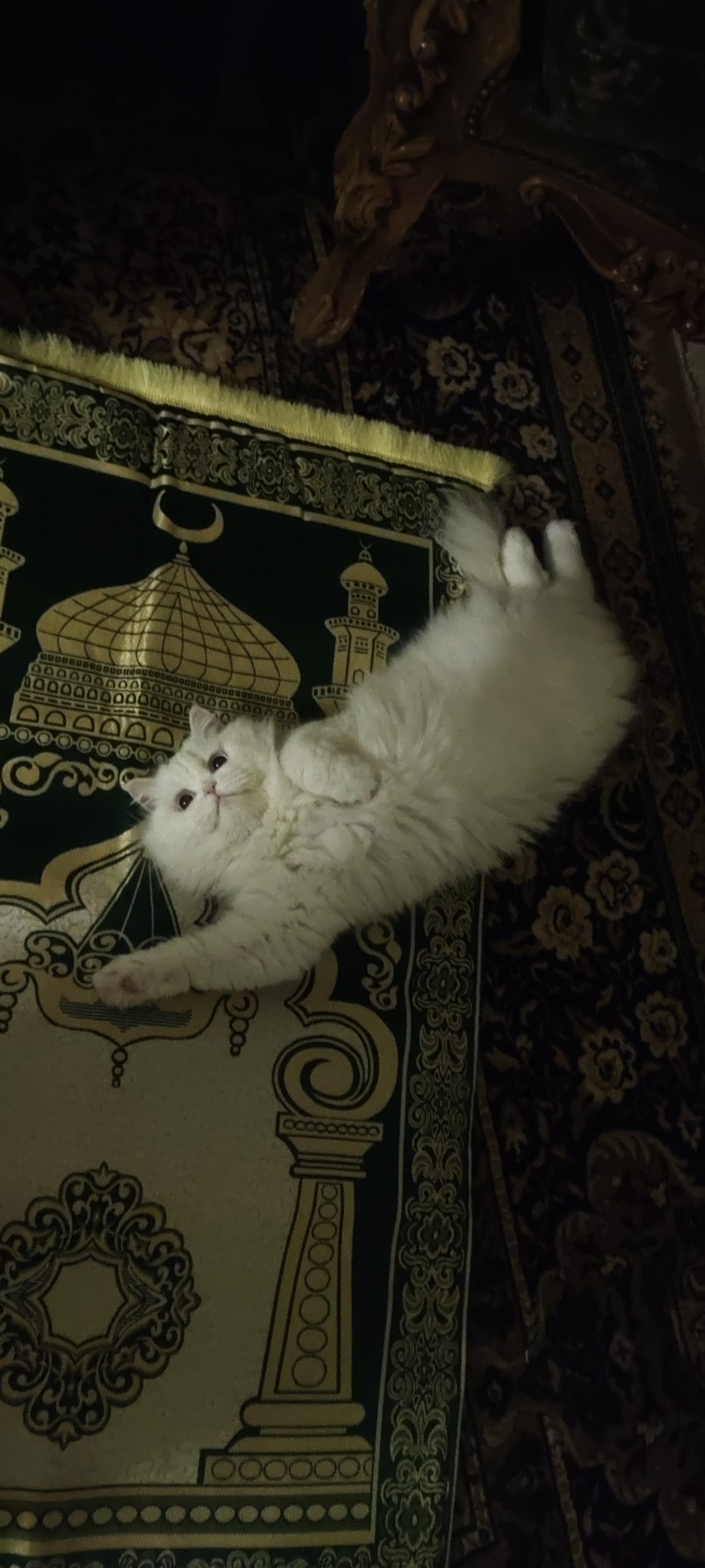 تقييم الزبون ميس شربجي