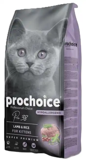 دراي فود للقطط الصغيرة في دمشق