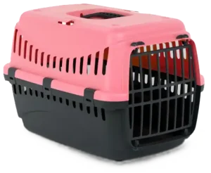 Cat Box