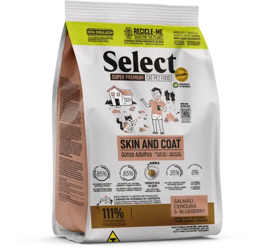 دراي فود مونيلو الشهير في دمشق