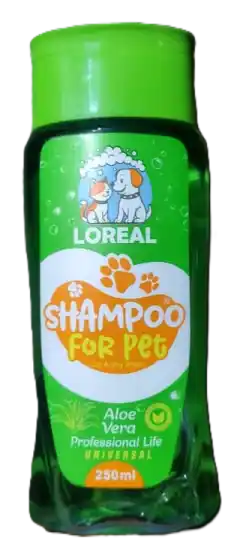 Shampoo loreal