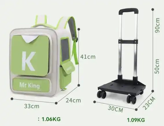 Cat Bag for Walks in Damascus. حقيبة مشاوير قطط في دمشق