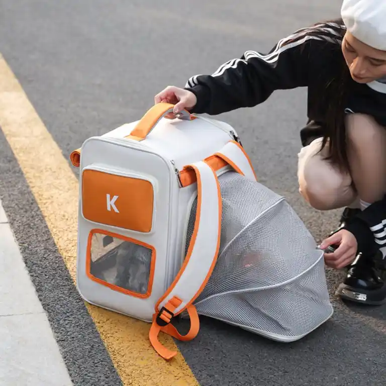 Cat Bag for Walks in Damascus. حقيبة مشاوير قطط في دمشق