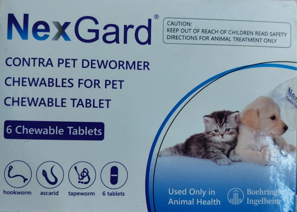 حبة نفس للقطط في دمشق