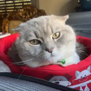 شهادة زبونتنا اسراء أم بيلي من العدوي