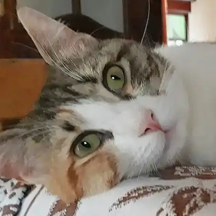 شهادة زبونتنا ميرا أم سوسي من الربوة