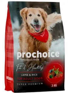 High Quality Dry Food for Dogs in Damasucs