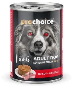 prochoice adult dog lamb in damascus