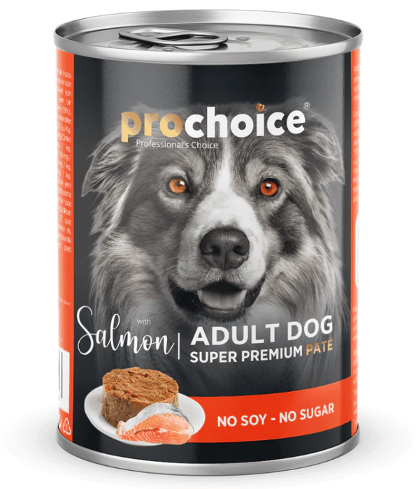 prochoice adult dog salmon in Damascus